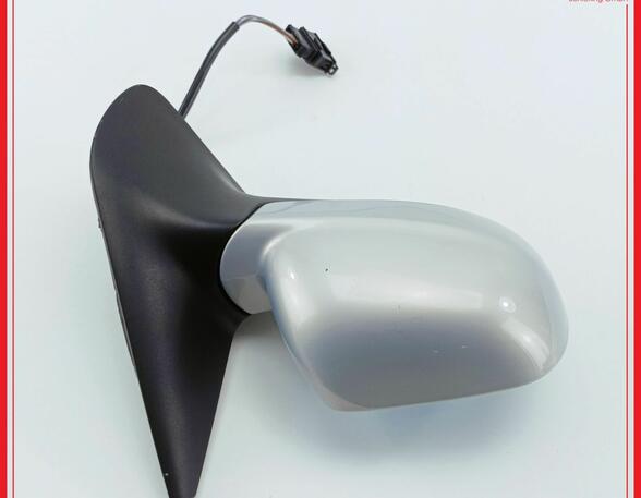 Wing (Door) Mirror VW Golf IV (1J1)