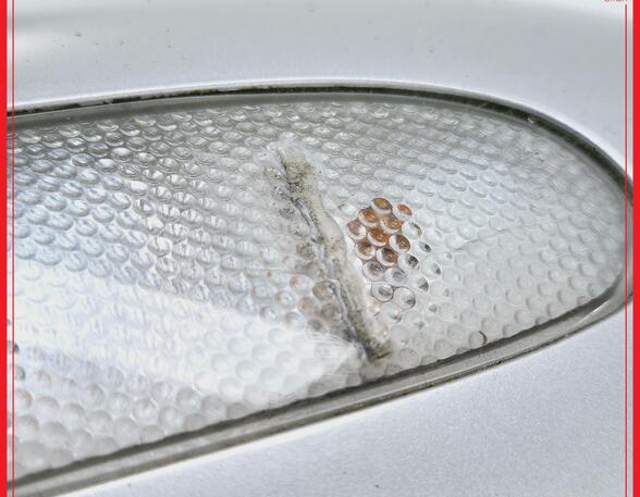 Wing (Door) Mirror MERCEDES-BENZ C-CLASS Coupe (CL203)