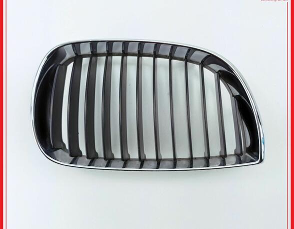 Radiateurgrille BMW 1er (E87)