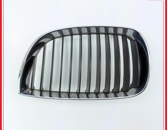 Radiateurgrille BMW 1er (E87)