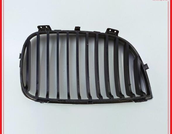 Radiator Grille BMW 1er (E87)