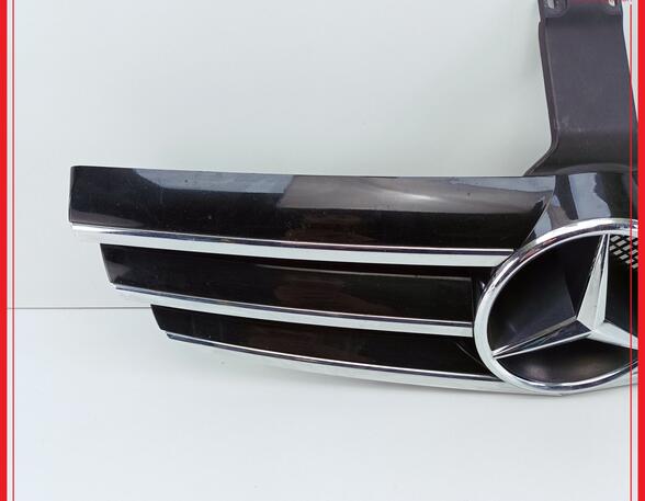 Radiator Grille MERCEDES-BENZ CLK (C209)