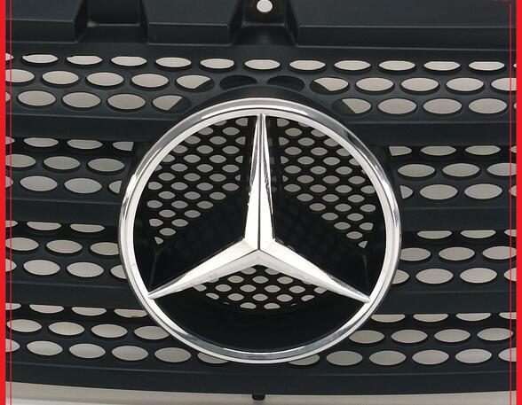 Radiator Grille MERCEDES-BENZ VITO Bus (W639)