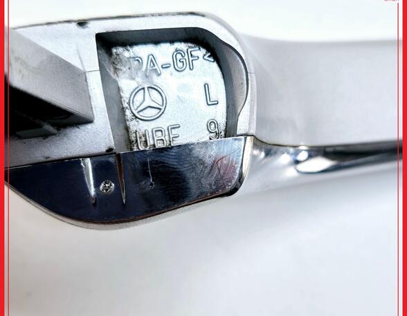 Door Handle MERCEDES-BENZ CLS (C219)