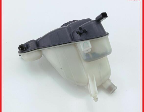 Coolant Expansion Tank MERCEDES-BENZ R-Klasse (V251, W251)