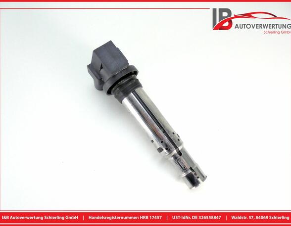 Ignition Coil VW Polo (9N)