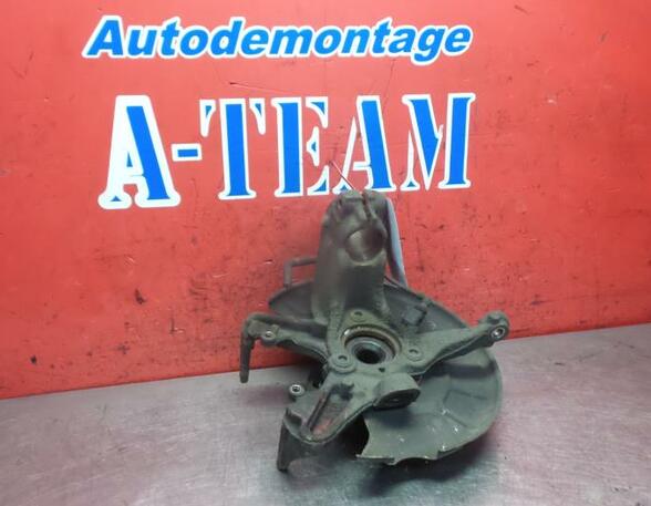 Stub Axle SEAT Leon (1P1)