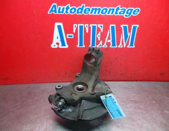 Stub Axle LAND ROVER Freelander 2 (FA)