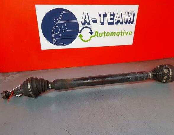 Drive Shaft VW EOS (1F7, 1F8)