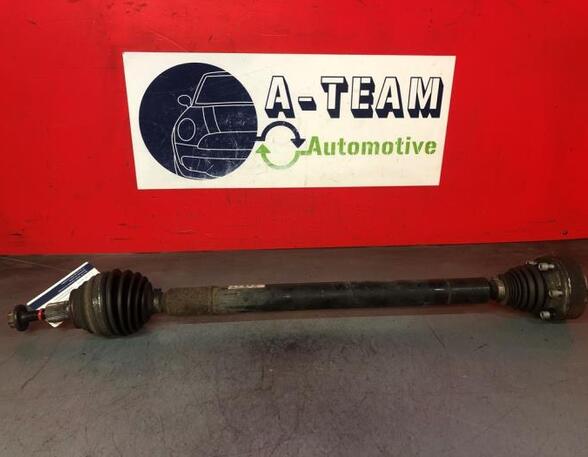 Drive Shaft VW GOLF PLUS (5M1, 521)