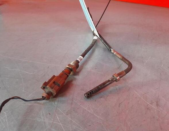 Temperature Sensor SEAT IBIZA IV ST (6J8, 6P8)