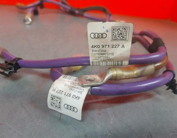 Wiring Harness AUDI A6 C8 Avant (4A5)