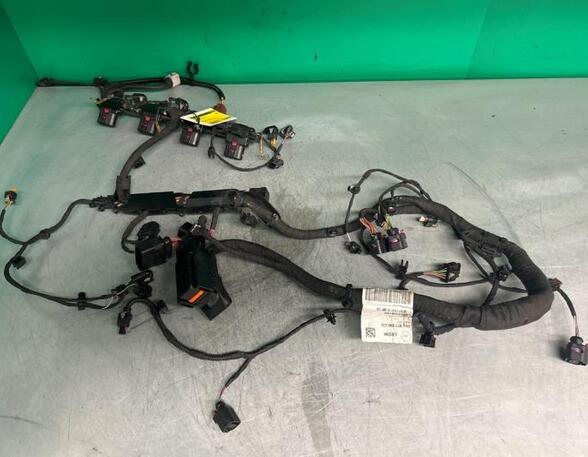 Wiring Harness AUDI Q5 (FYB, FYG)