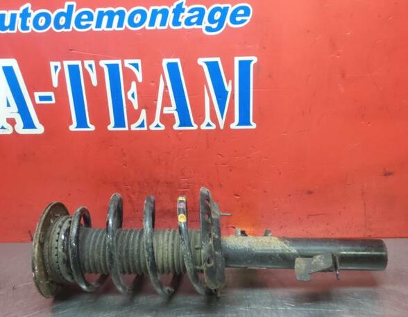 Shock Absorber FORD Mondeo IV (BA7)