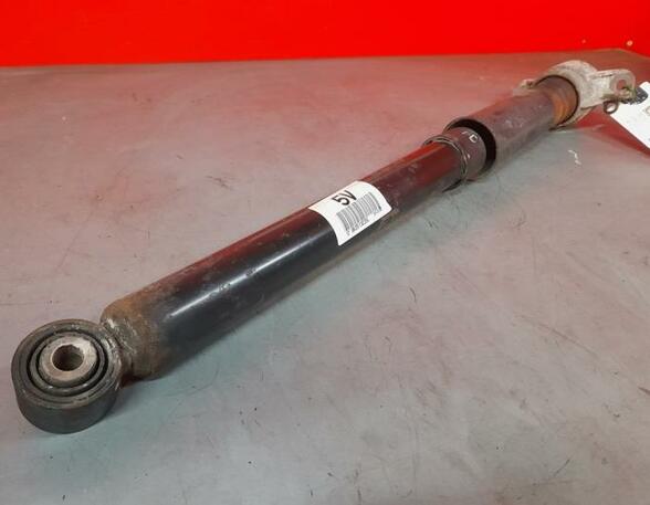 Shock Absorber AUDI A5 Sportback (8TA), AUDI A4 Allroad (8KH, B8)