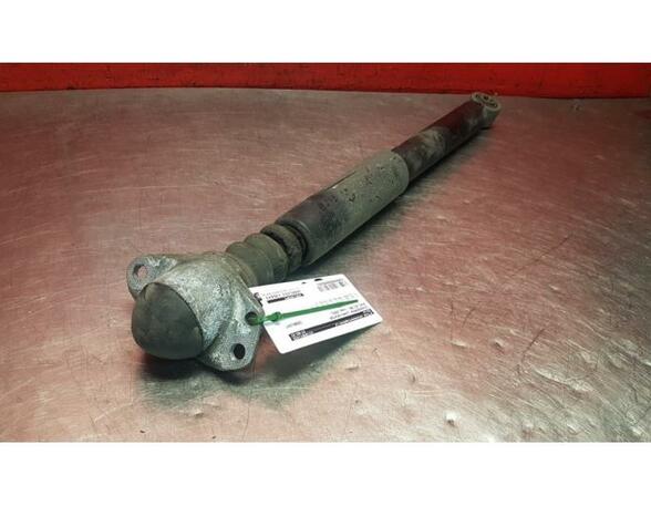 Shock Absorber AUDI A3 (8L1)