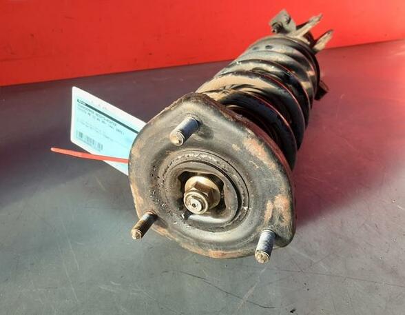 Shock Absorber TOYOTA MR 2 III (ZZW3)