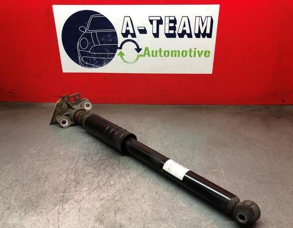 Shock Absorber FIAT Grande Punto (199), FIAT Punto (199), FIAT Punto Evo (199)