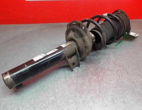 Shock Absorber VW Golf VII (5G1, BE1, BE2, BQ1)