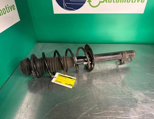 Shock Absorber TOYOTA Aygo (B4)