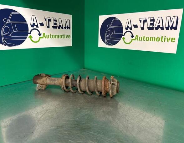 Shock Absorber SUZUKI ALTO (FF)