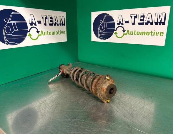 Shock Absorber SUZUKI ALTO (FF)