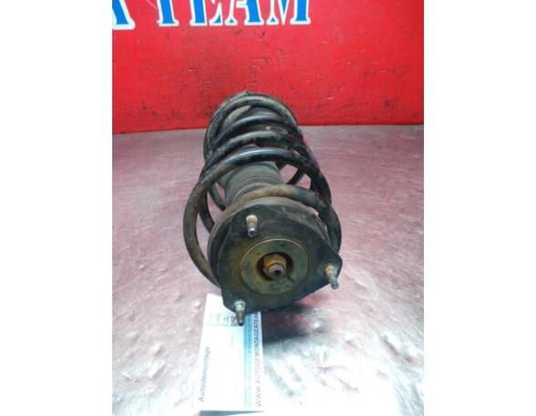 Shock Absorber FORD TRANSIT CONNECT (P65_, P70_, P80_)