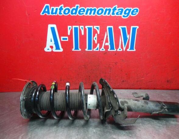 Shock Absorber LAND ROVER FREELANDER 2 (L359)