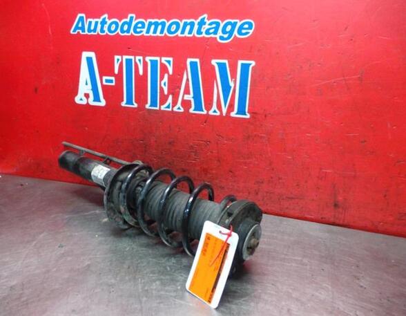 Shock Absorber VW PASSAT (3C2)