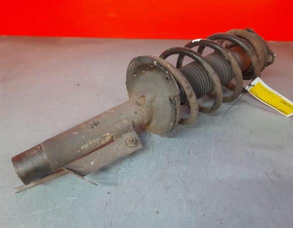 Shock Absorber FORD TRANSIT CONNECT (P65_, P70_, P80_)