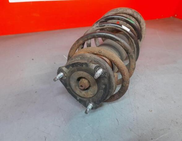 Shock Absorber FORD TRANSIT CONNECT (P65_, P70_, P80_)