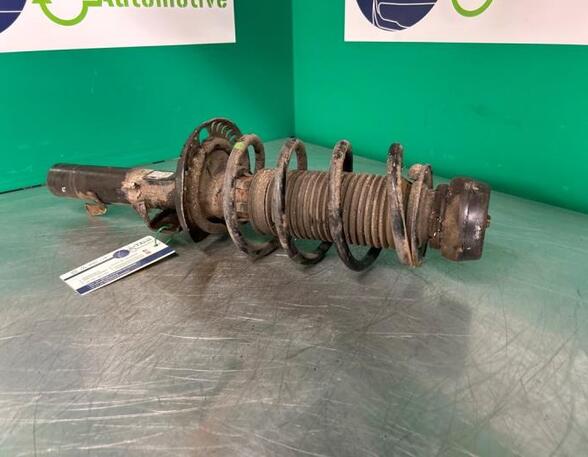 Shock Absorber SKODA FABIA II Combi (545), SKODA ROOMSTER Praktik (5J)