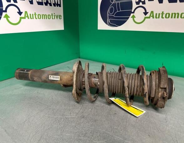 Shock Absorber VW GOLF V (1K1)