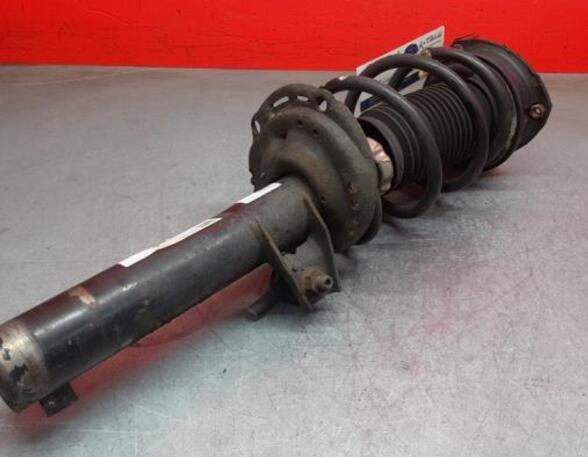 Shock Absorber VW GOLF VII (5G1, BQ1, BE1, BE2)