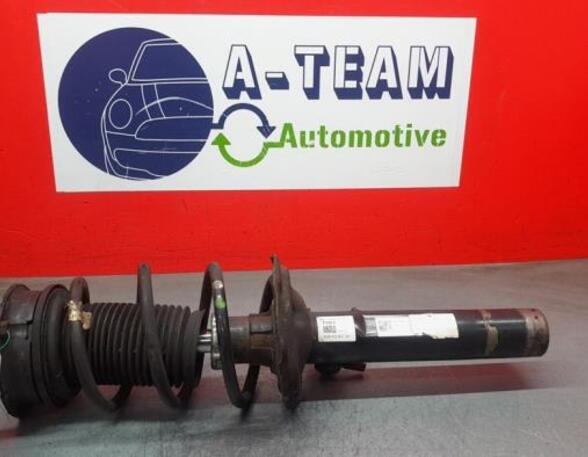 Shock Absorber VW GOLF VII (5G1, BQ1, BE1, BE2)