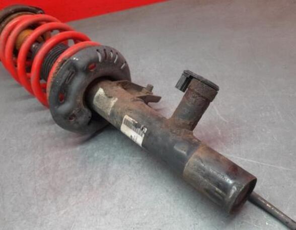 Shock Absorber VW GOLF VI (5K1)