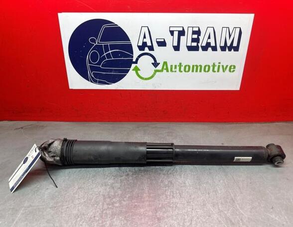 Shock Absorber VW GOLF VII Variant (BA5, BV5)