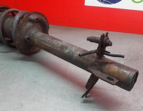 Shock Absorber FIAT DUCATO Van (250_, 290_)