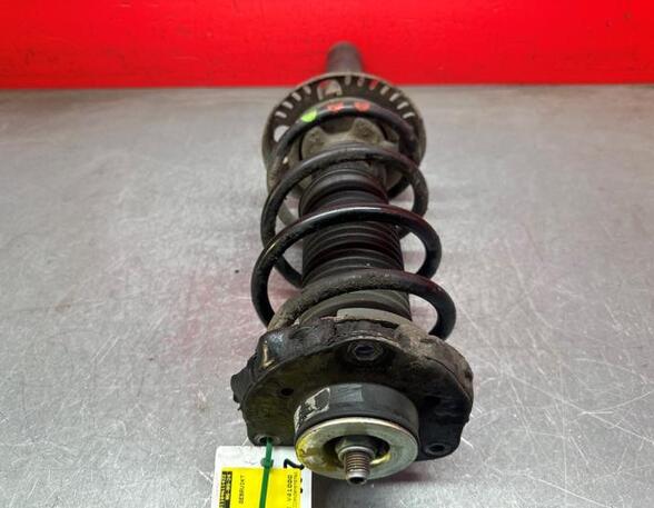 Shock Absorber VW POLO (9N_)