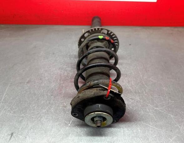 Shock Absorber VW POLO (9N_)