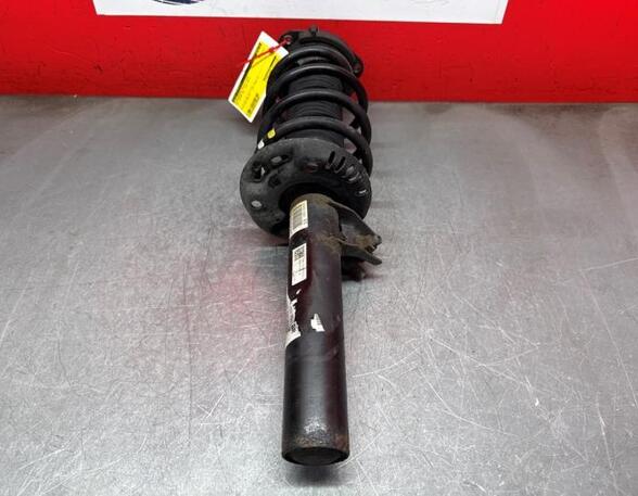 Shock Absorber VW TIGUAN (5N_), VW TIGUAN VAN (5N_)