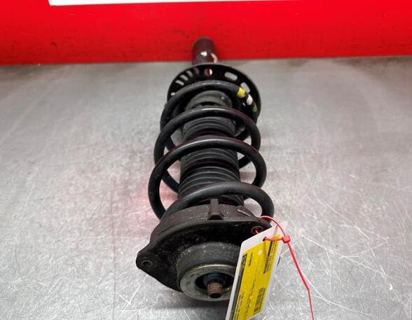 Shock Absorber VW TIGUAN (5N_), VW TIGUAN VAN (5N_)