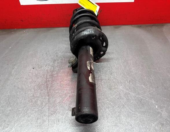 Shock Absorber VW TIGUAN (5N_), VW TIGUAN VAN (5N_)