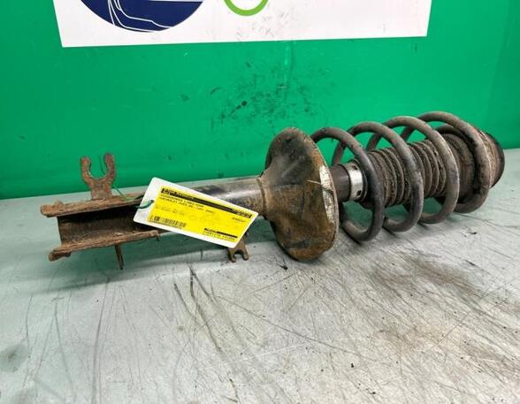 Shock Absorber CHEVROLET AVEO / KALOS Hatchback (T250, T255)