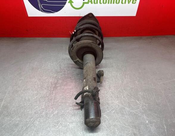 Shock Absorber MINI MINI (R50, R53), MINI MINI (R56)