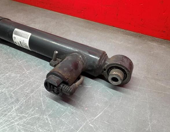 Shock Absorber VW GOLF VII (5G1, BQ1, BE1, BE2)