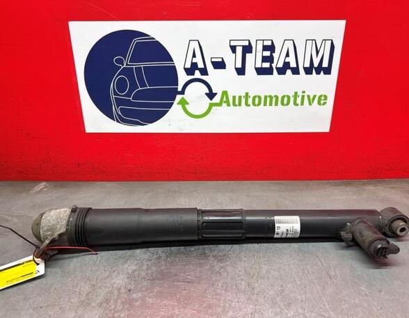 Shock Absorber VW GOLF VII (5G1, BQ1, BE1, BE2)