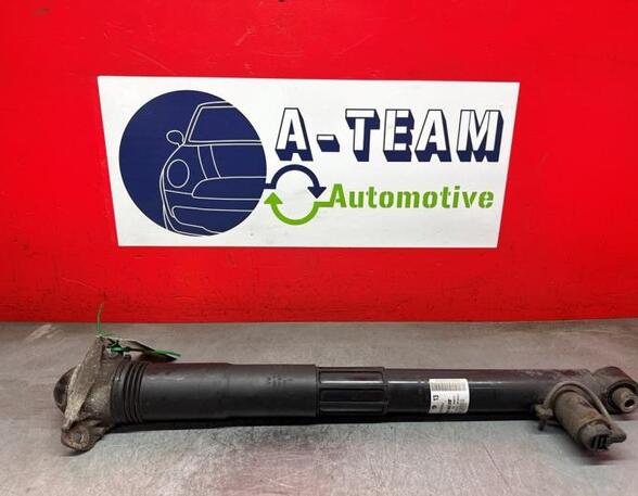 Shock Absorber VW GOLF VII (5G1, BQ1, BE1, BE2)