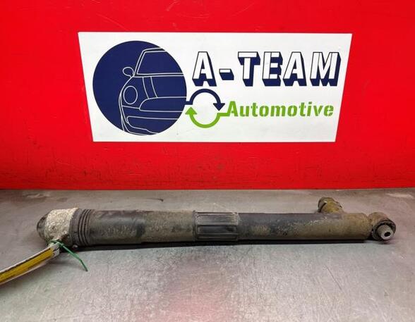 Shock Absorber VW GOLF VII (5G1, BQ1, BE1, BE2)