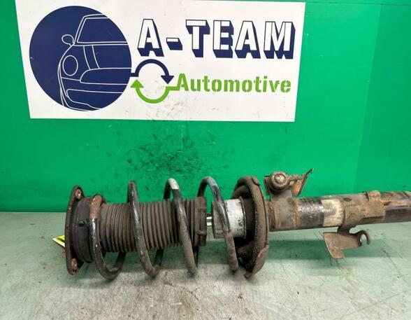 Shock Absorber FORD FOCUS C-MAX (DM2)